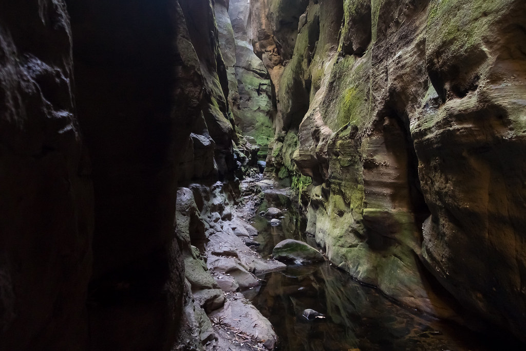 Carnarvon Gorge, Queensland: