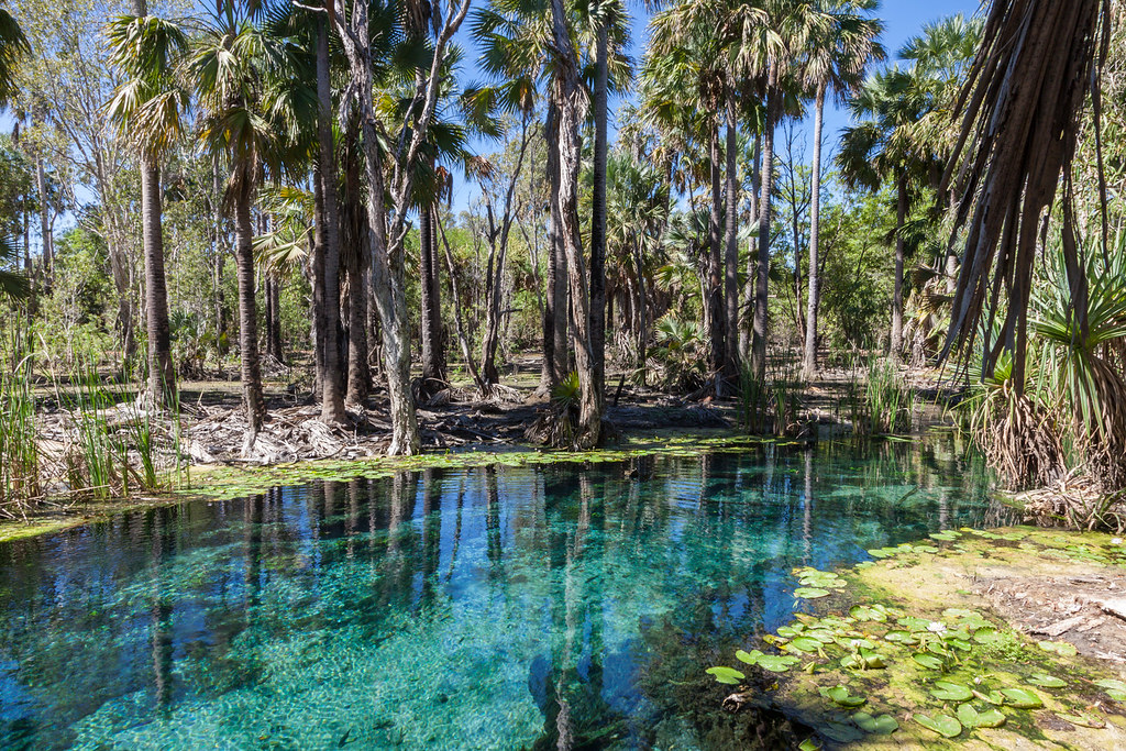 Bitter Springs, Elsey National Park