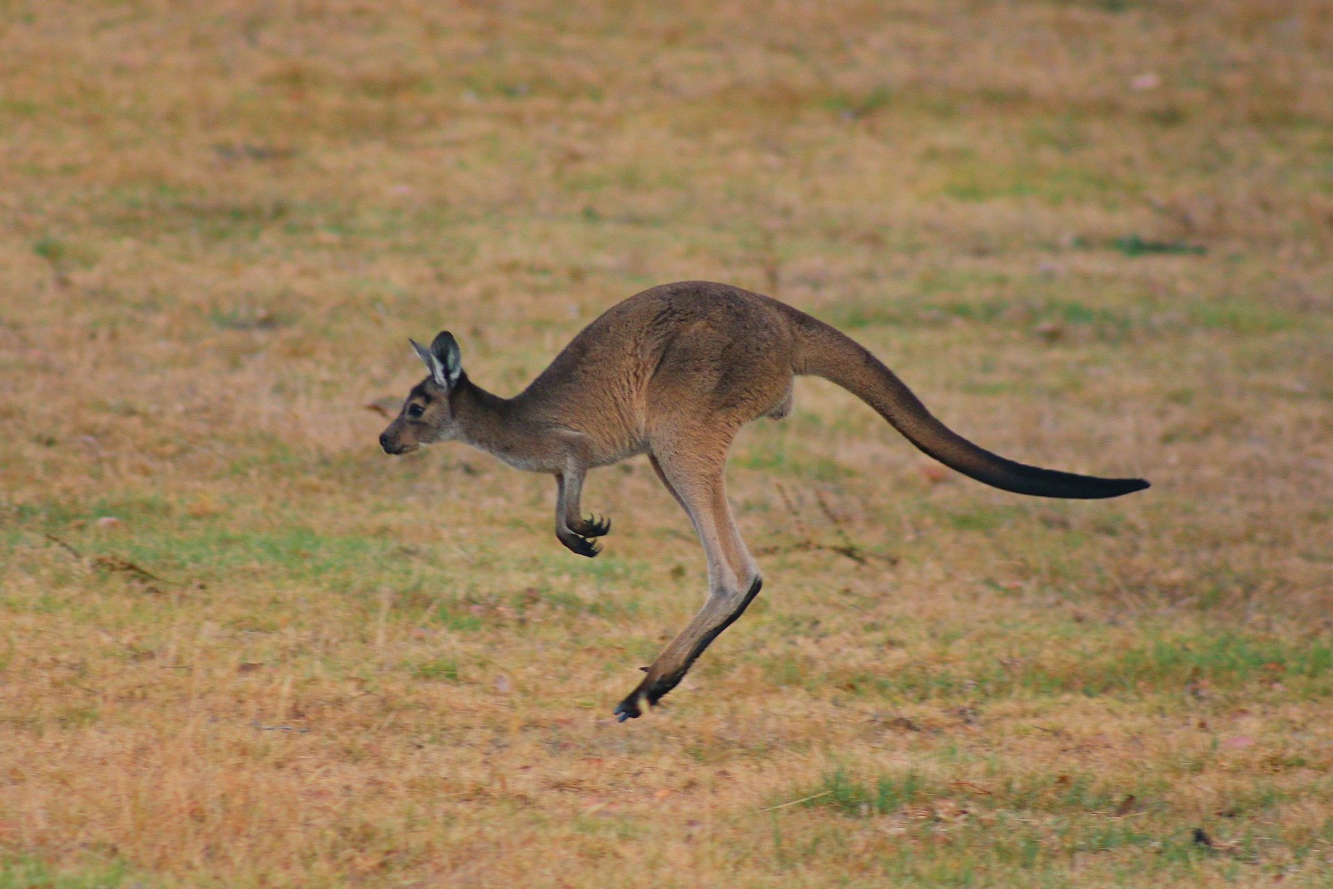 Why Australia’s Outback Is a Hidden Paradise