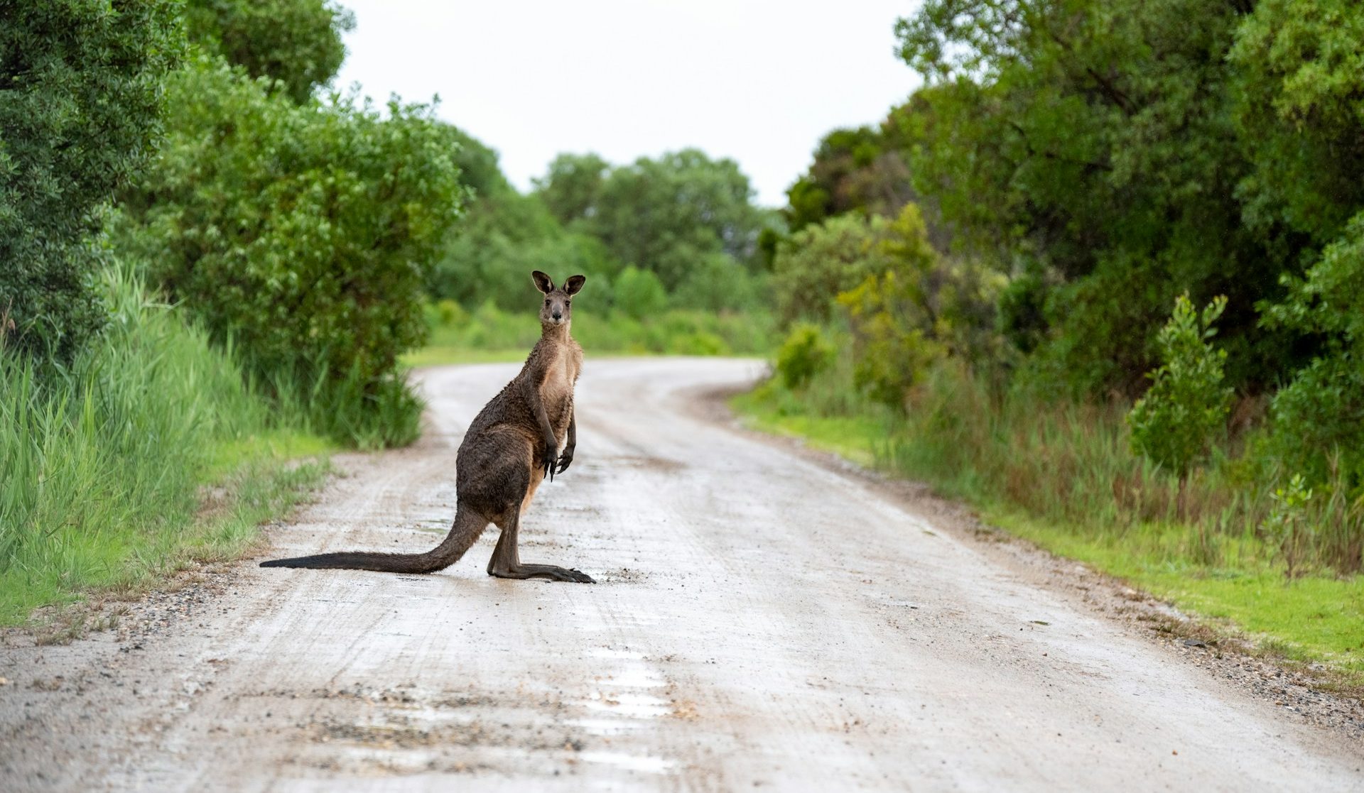 Road Trips in Australia That Will Change Your Life