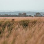 Why Australia’s Outback Is a Hidden Paradise