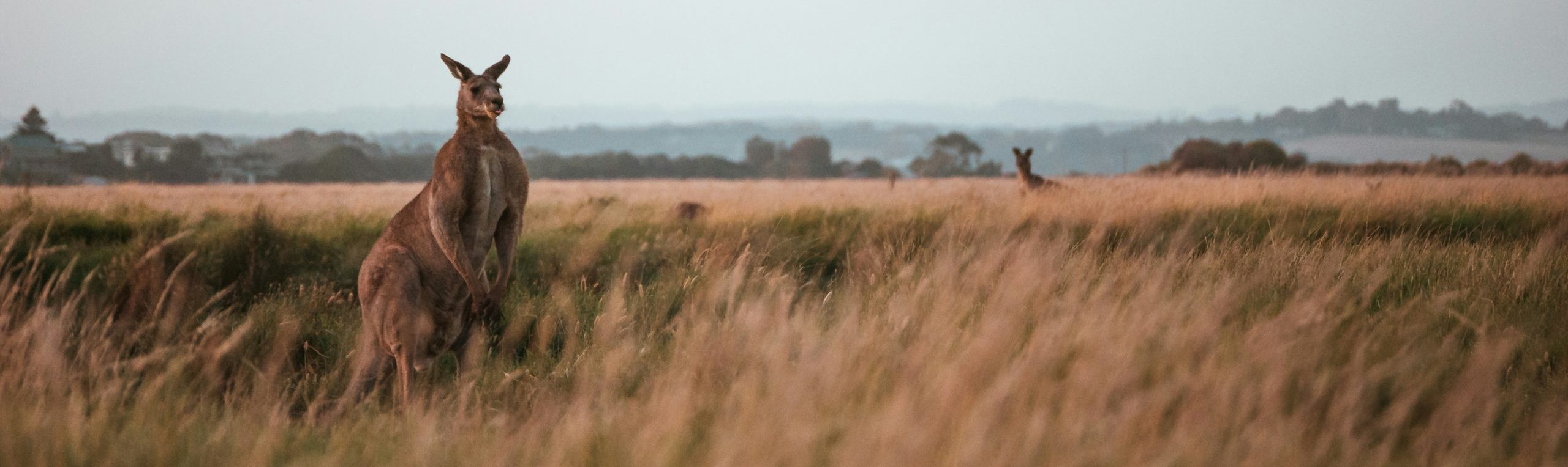 Why Australia’s Outback Is a Hidden Paradise
