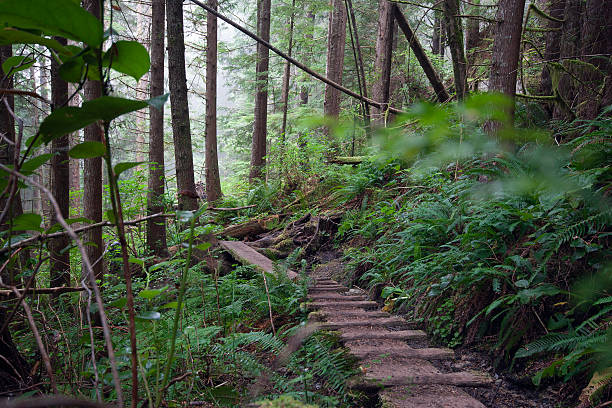 West Coast Trail - Vancouver Island, British Columbia