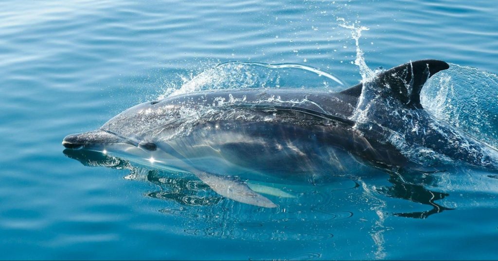 Why New Zealand Is the Perfect Destination for Adventure Seekers
