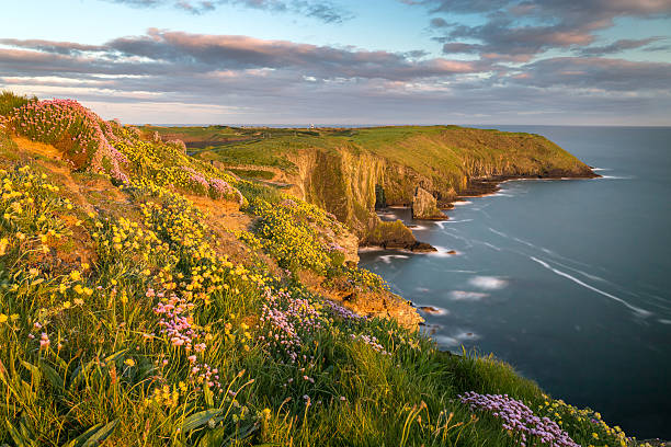 Kinsale