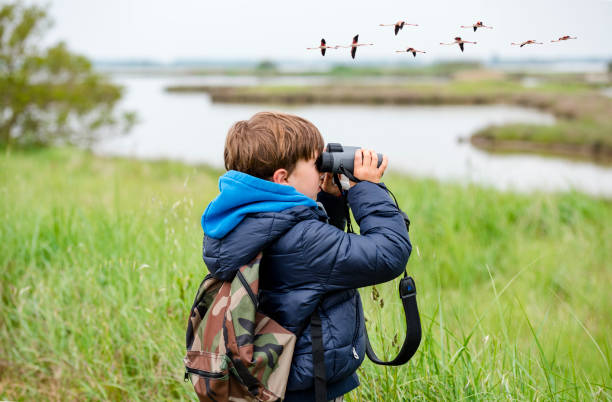 Wildlife Watching in Kaikoura