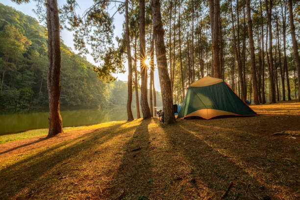 Camping in Abel Tasman National Park