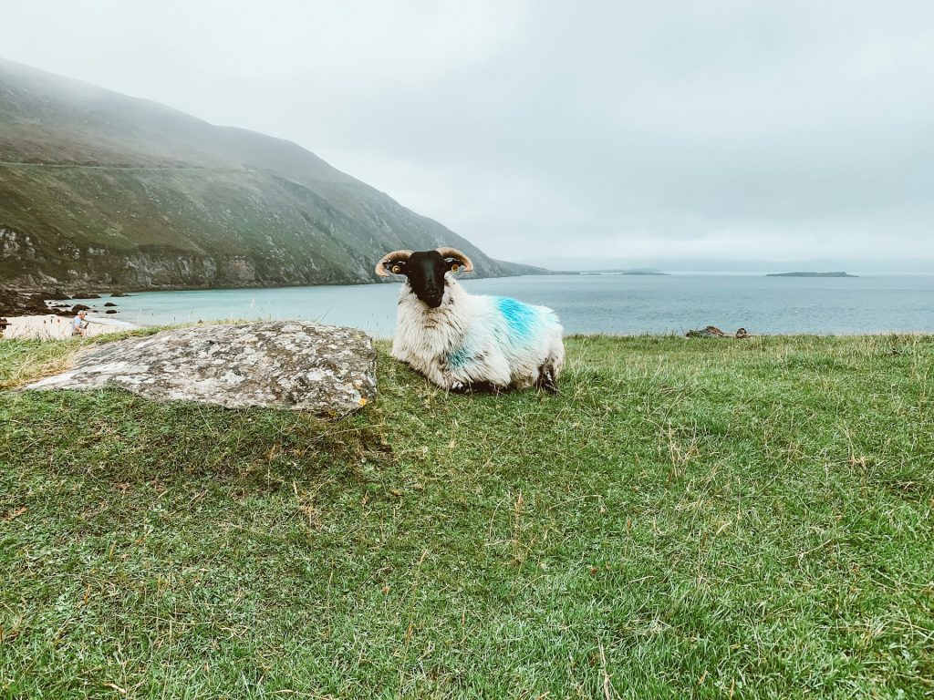 The Hidden Beaches of Achill Island