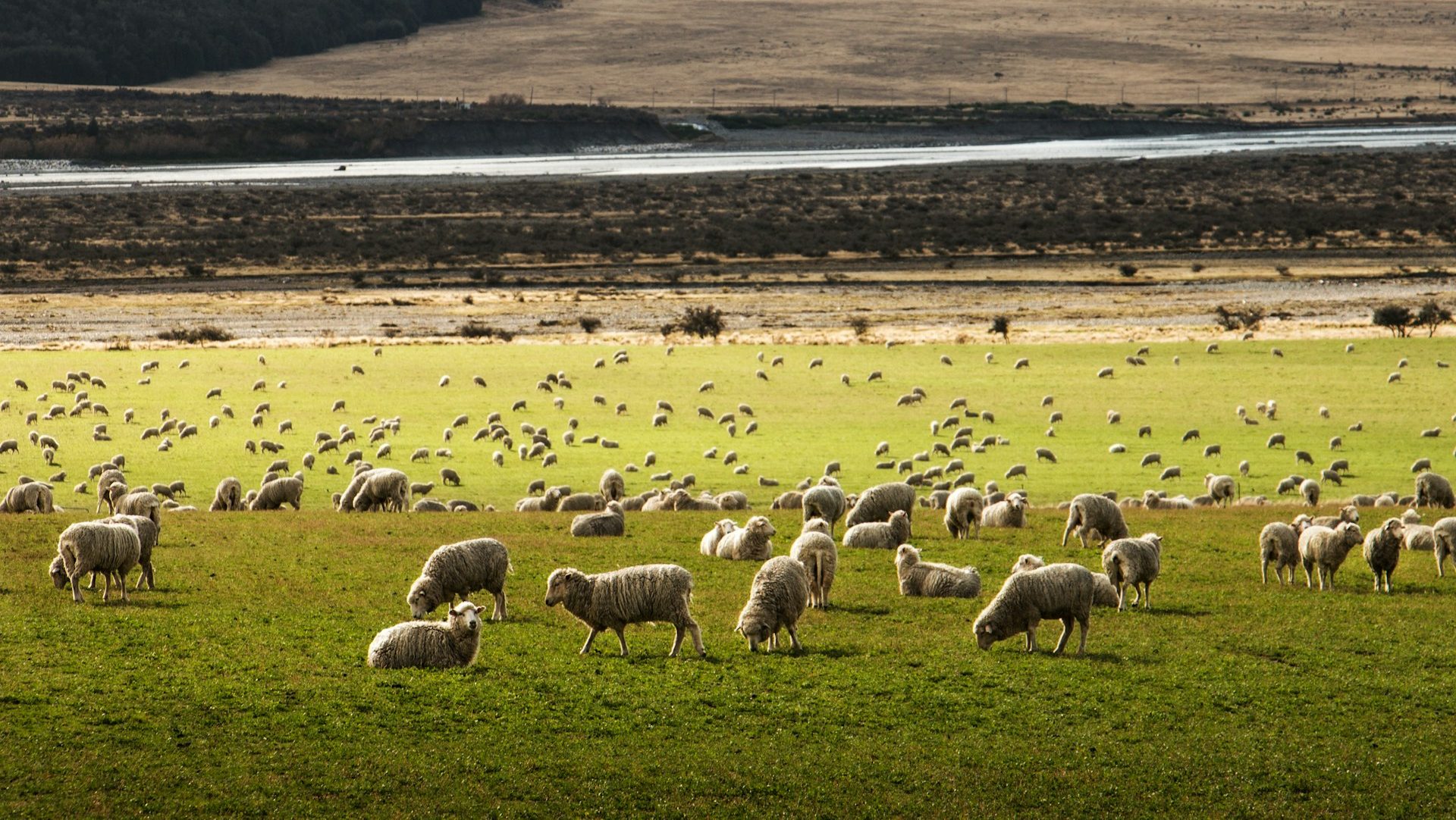 Things to Do in New Zealand That Are Not on the Tourist Trail