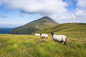 Why Coastal Towns in Ireland Will Steal Your Heart