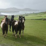 Jaw-Dropping Views You Can Only Find in the UK
