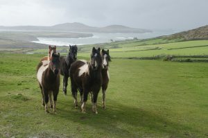 Jaw-Dropping Views You Can Only Find in the UK