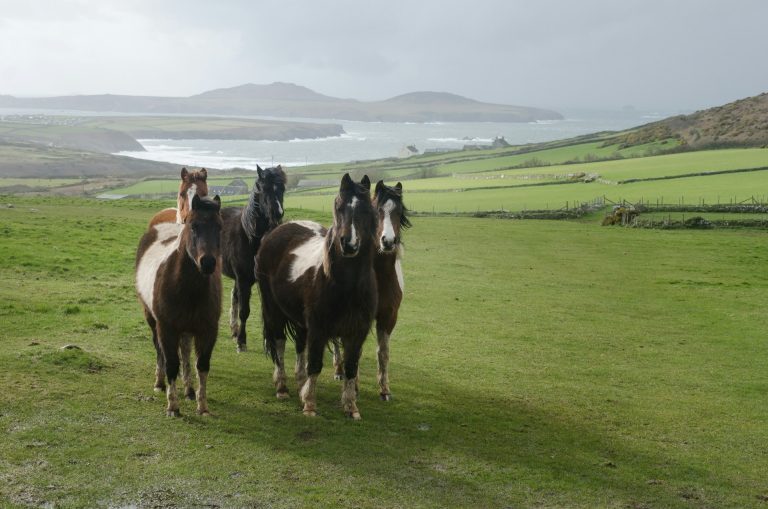 Jaw-Dropping Views You Can Only Find in the UK