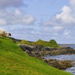 What to See in Hidden Countryside in Ireland