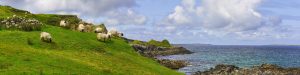 What to See in Hidden Countryside in Ireland